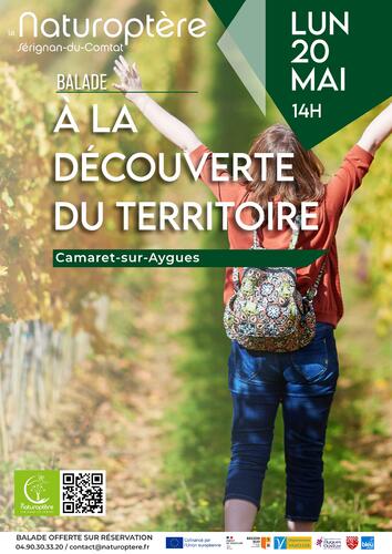 Balade à la découverte du territoire organisée par Le Naturoptère le lundi 20 mai à 14h00 à Camaret