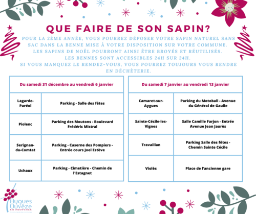 Que faire de son sapin après les fêtes : information de la Communauté de communes Aygues Ouvèze en Provence