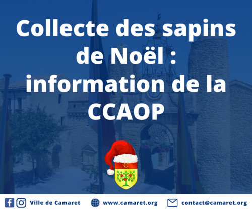 Collecte des sapins de Noël : information de la Communauté de communes Aygues Ouvèze en Provence