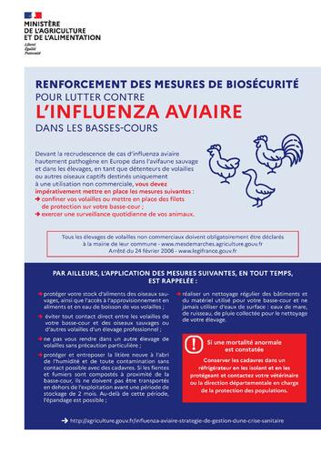 Influenza aviaire hautement pathogène : la France passe en niveau de risque « élevé » : communiqué du Ministère de l'Agriculture et de la Souveraineté alimentaire
