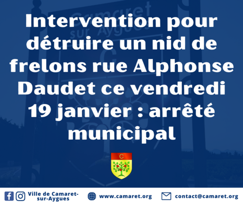 Intervention pour détruire un nid de frelons rue Alphonse Daudet ce vendredi 19 janvier : arrêté municipal