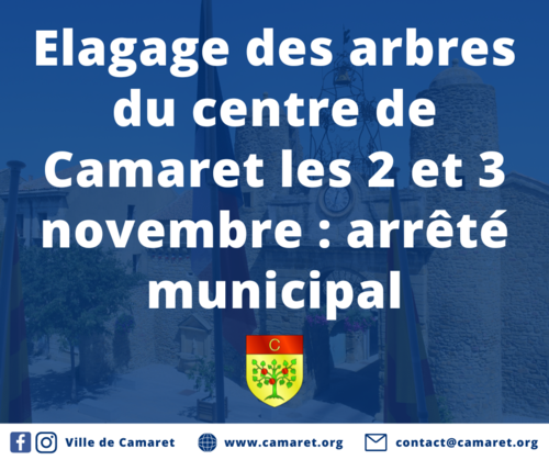 Elagage des arbres du centre de Camaret les 2 et 3 novembre : arrêté municipal