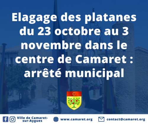 Elagage des platanes du 23 octobre au 3 novembre dans le centre de Camaret : arrêté municipal