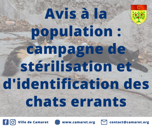 Avis à la population : campagne de stérilisation et d'identification des chats errants